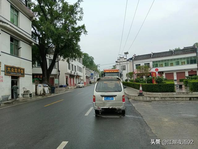 西峡二郎坪镇街头矗立一棵千年银杏,虽根部裸露,但依然茂盛