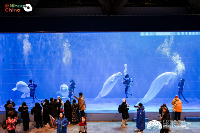 欧洲网红博主中国行哈尔滨站：站站皆用心，用文旅讲述冰城故事