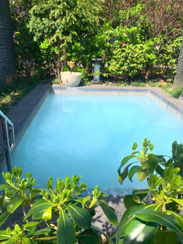 新年泡头汤 | 九昱温泉免费福利清单出炉，福气与快乐双收！