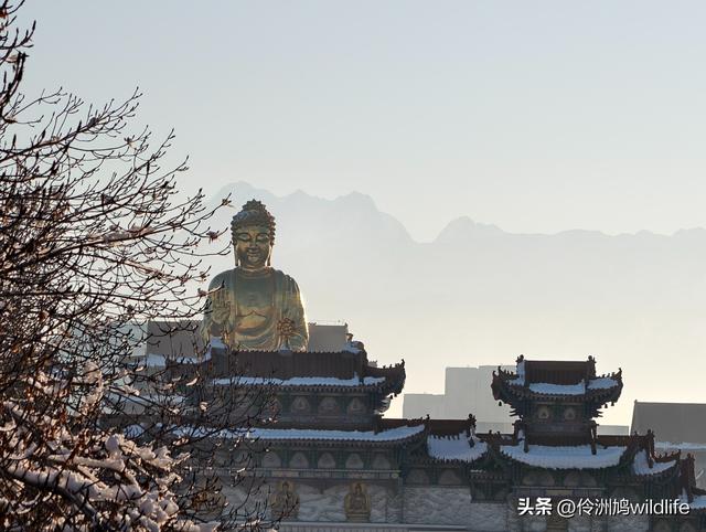 新疆乌鲁木齐红光山大佛寺