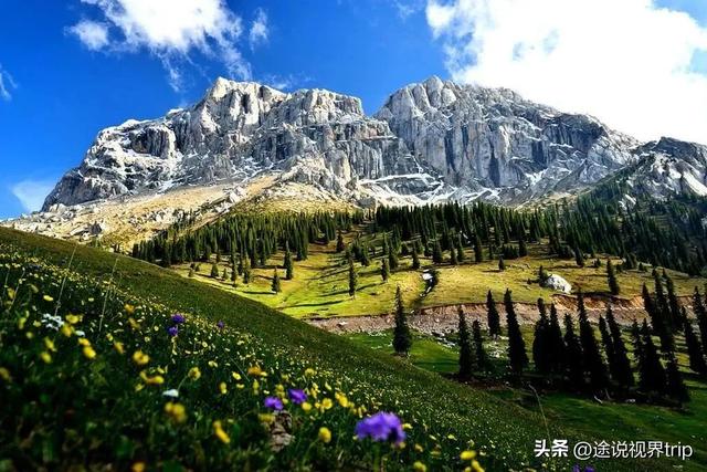 伊犁：中国西北的人间仙境，800公里风景长廊，藏着世间所有美好