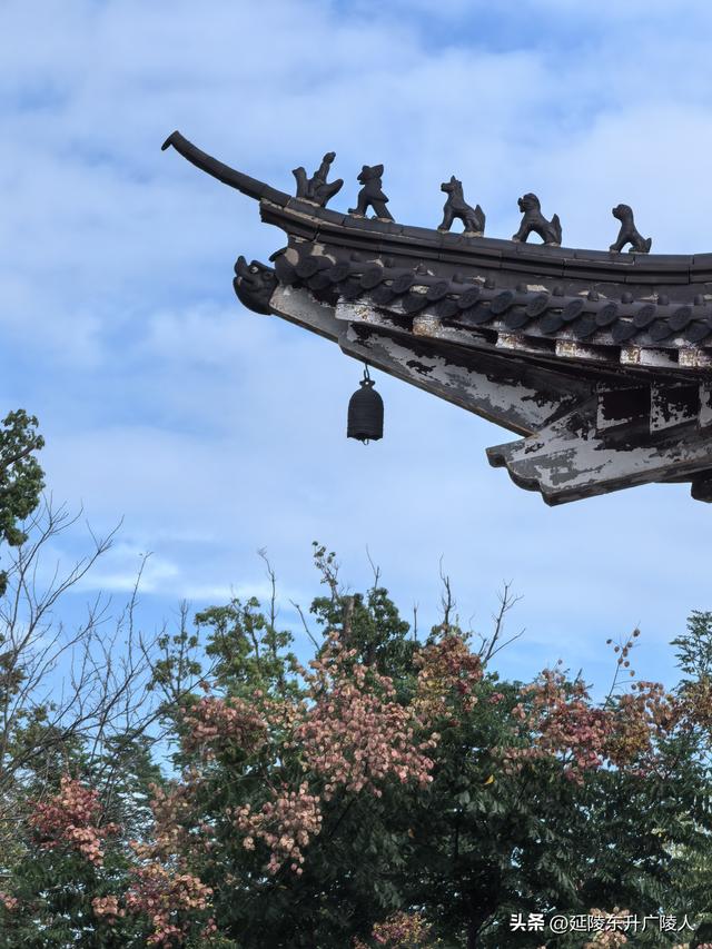 国庆假期来太湖边大有秋 远山近水丰收景 竺山书院福寿寺 蒋捷古墓