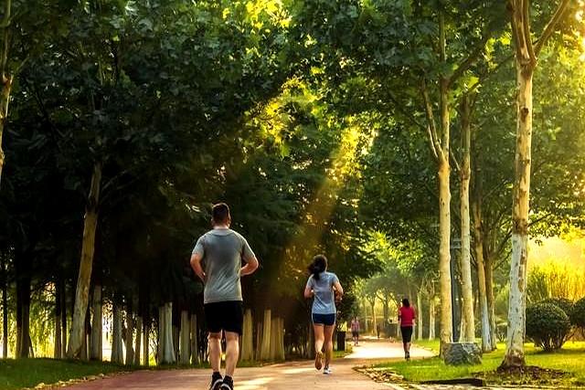 能坚持早起跑步的人	，没有一个是弱者