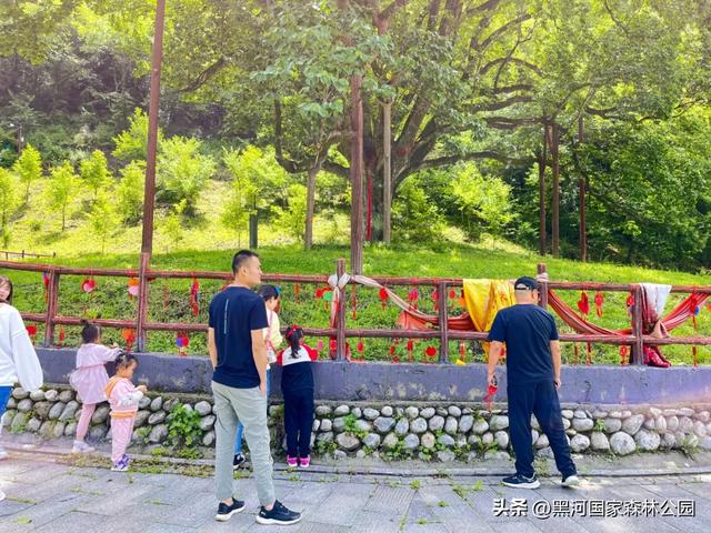 西安2h直达！钻进20℃的“天然空调房”，超全纳凉自驾攻略来了！