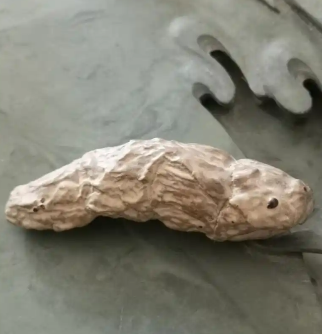 闲鱼真是越来越离谱了，人类对它的开发不足1%