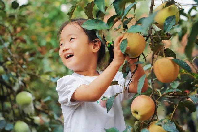 “把日子过成诗”！这样的“慢生活”里藏着怎样的治愈力？
