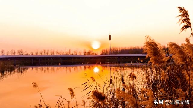 气温骤降8℃，「雪」要来了！在淄博，邂逅一场白色浪漫→