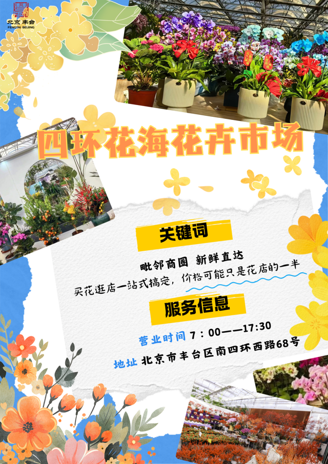 丰台这7家宝藏花卉市场，承包你冬日的盎然“生机”