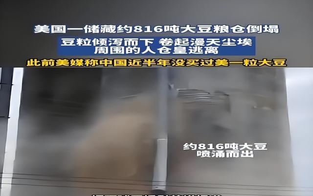 为什么美国大豆期货价格还在上涨