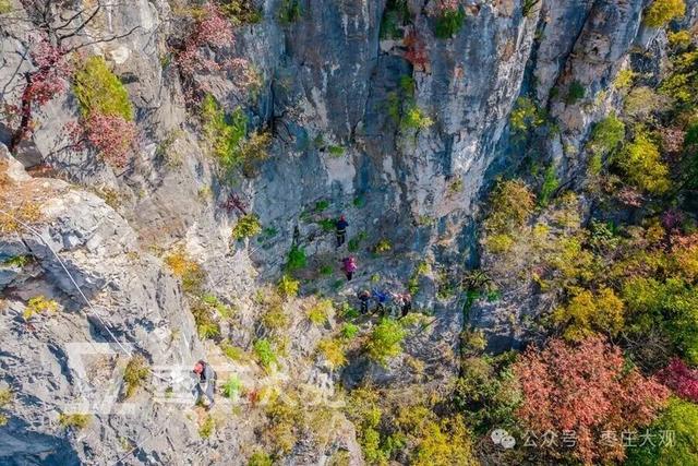 红叶季，在枣庄抱犊崮崖壁上拍到我的人生照片！