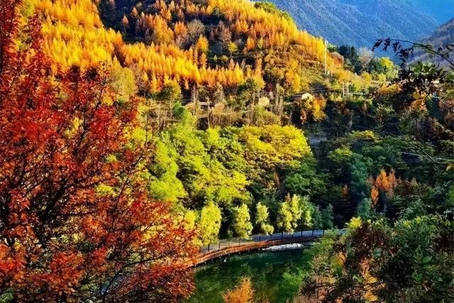 【联动宣传】别再问11月去哪了，来陇南吧！