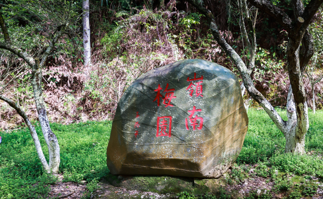 韶关这些秋冬的徒步骑行宝藏路线值得你N刷！喊上搭子，周末就出发去捕捉秋天的限定温柔