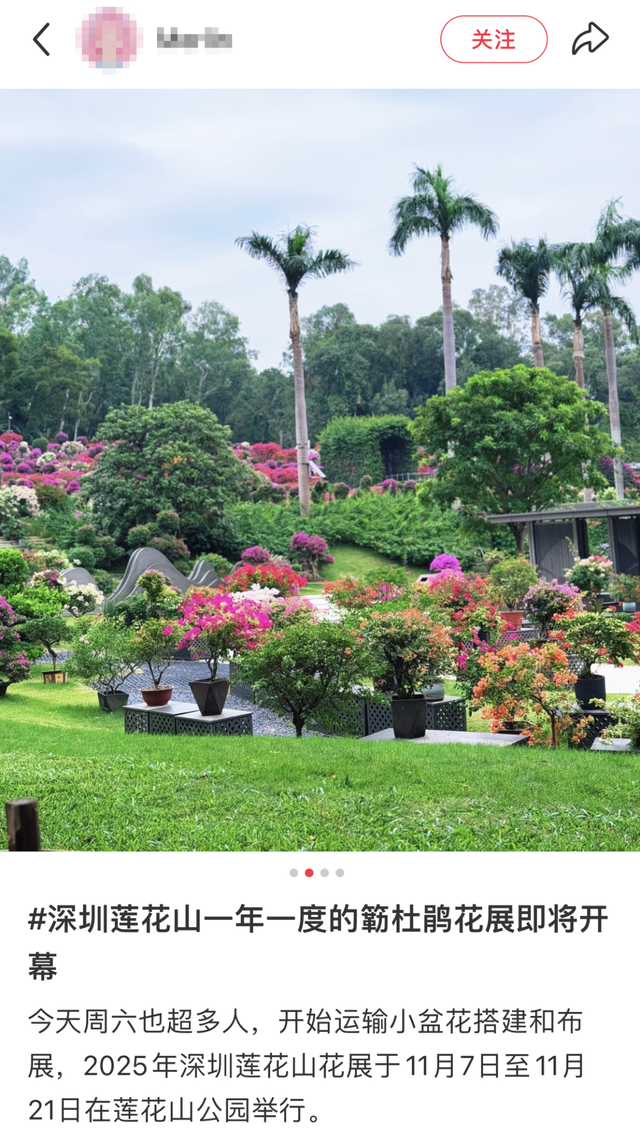 这周五，莲花山要热闹起来了！！