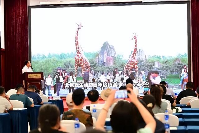 2025年大兴区京津冀旅游市场宣传推介活动举行