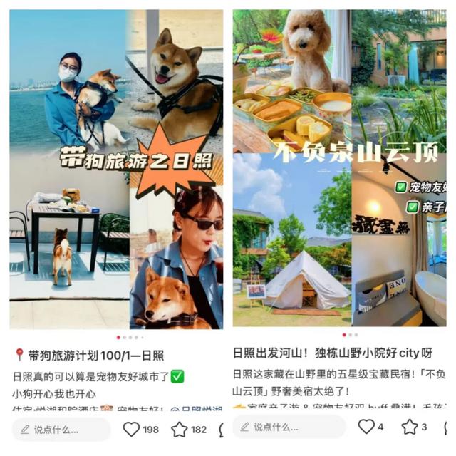 日照:被低估的宝藏滨海小城,极致演绎诗意与浪漫