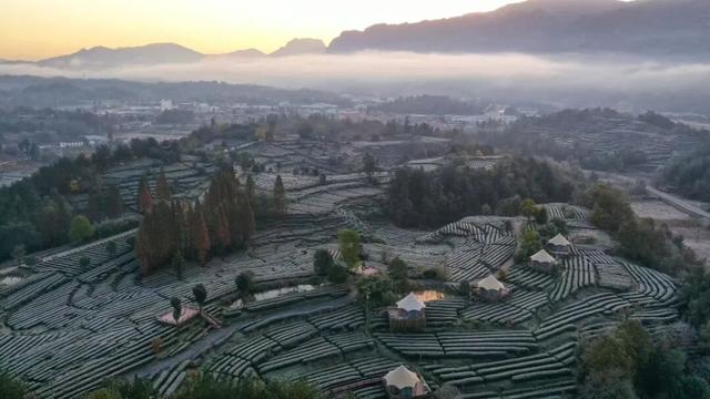 三场大戏+五大活动，宁强元旦狂欢倒计时！