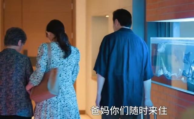 《许我耀眼》大结局：沈皓明撕毁亲子鉴定姥姥一句话点破婚姻真相
