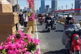 太原：一路“繁花”一路景，百万株鲜花扮靓迎泽大桥、滨河东/西路图片