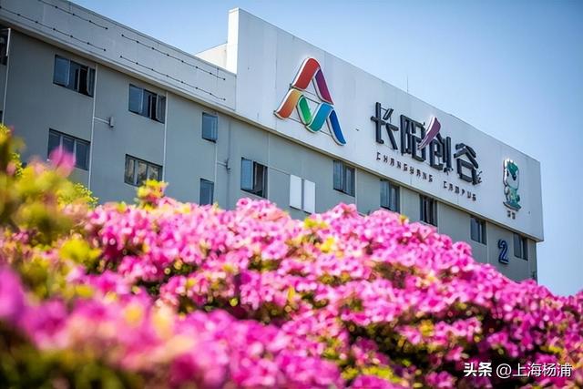 快来杨浦打卡！这条游玩线路有料又出片→