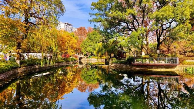 油画般的徐汇秋色，来了！