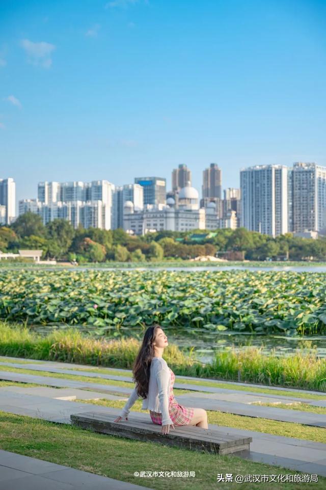 武汉宝藏，十一亮相！
