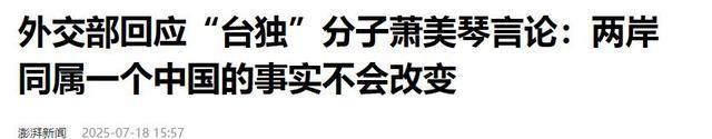 美参议员向中方喊话，不许“跨境逮捕”萧美琴，却忽略一关键因素