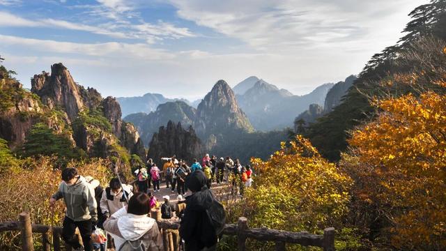 紧急播报：黄山秋色已达峰值，100%颜值在线，速来！| 皖美冬日 | 第十五届安徽国际文化旅游节