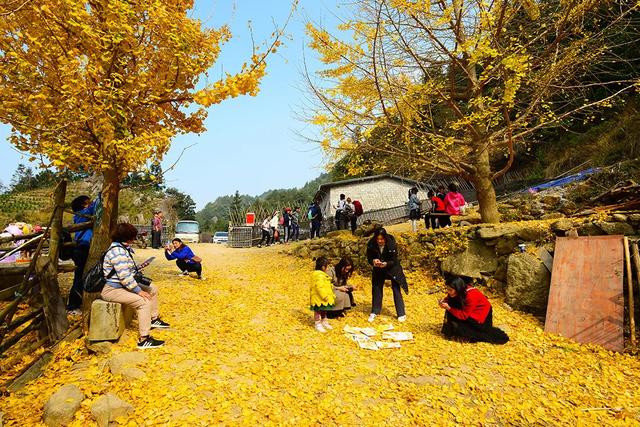 怀集的四季!带你回顾,带你深入