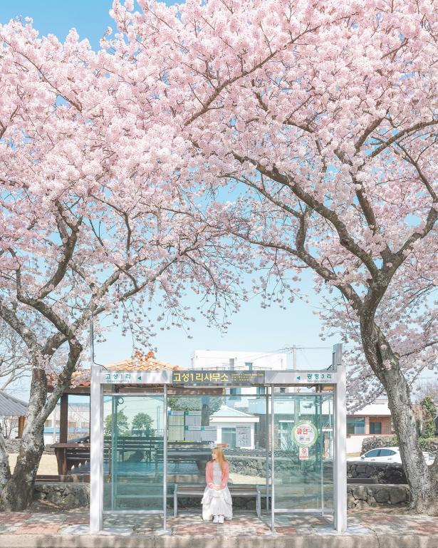 1h直飞！签证超easy！这趟周末旅行，太成功啦！