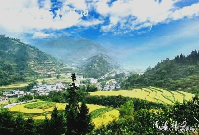 藏在诗行里的秋山“丰”景——品七律《游九峰溪下山村梯田》之感