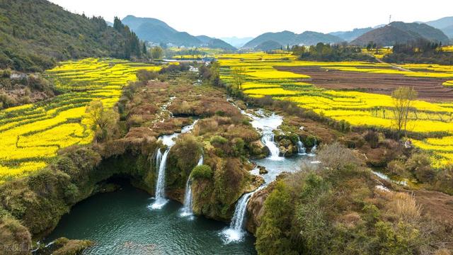 去罗平，追中国第一抹春！油菜花海已进入最佳观赏期，不要错过！