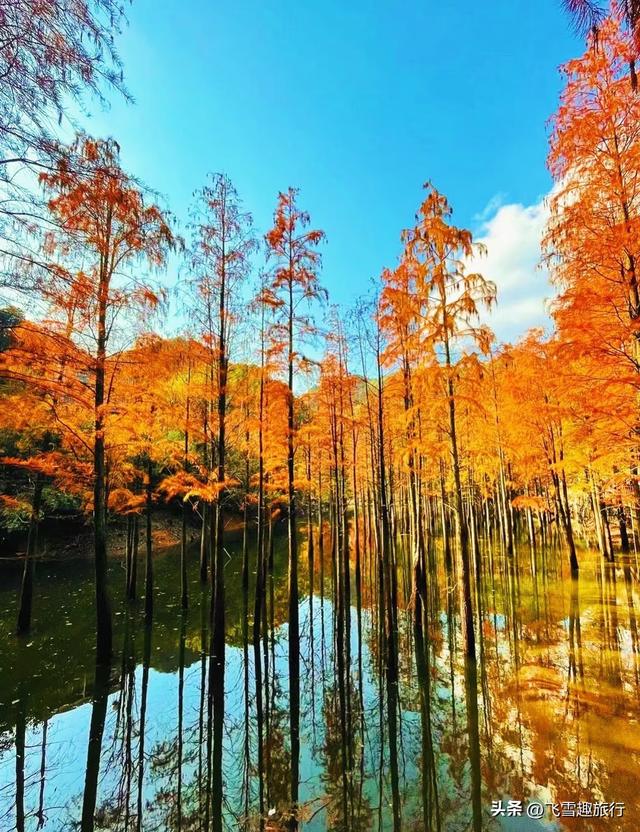 从杭州出发，一小时左右车程，五个风格各异的绝佳赏秋地