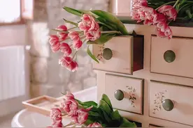 你第一个想到的，带有“露”字的古诗词是哪句？图片