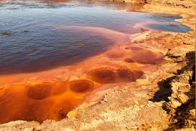 这4种常见重金属中毒，症状、原因大不同，一次看懂怎么办图片