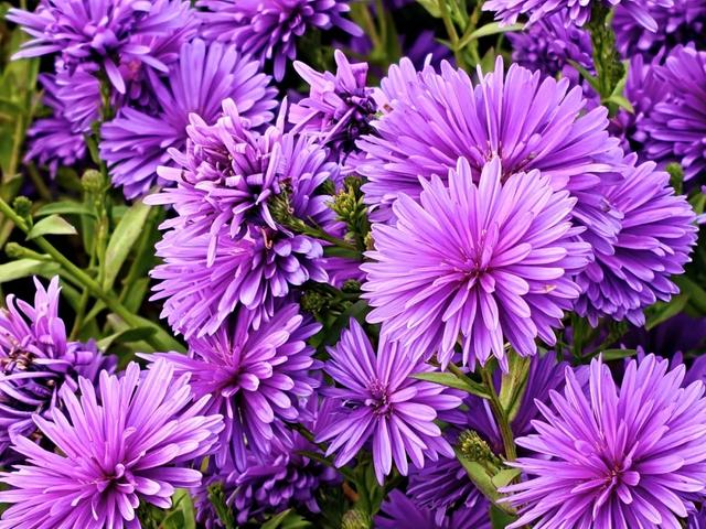 秋景秋色秋意浓，北京城市副中心藏着古今交融的浪漫