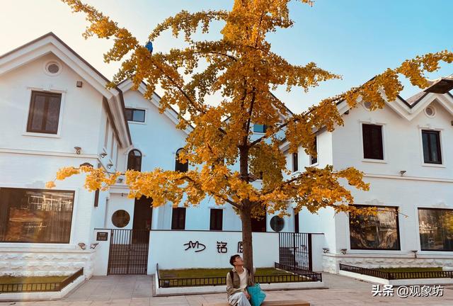 大连：全国最傻的城市！那么多好看的景点居然都免费！