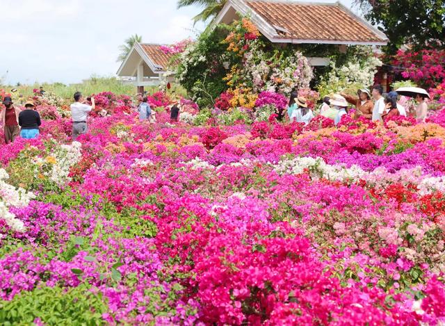 春假+清明!万宁推出五天四晚“浪”漫线路→