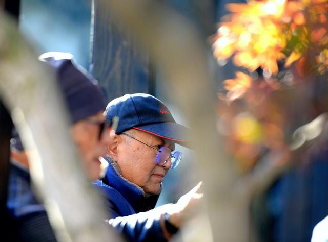 红枫银杏里,读懂惠山古镇的秋冬