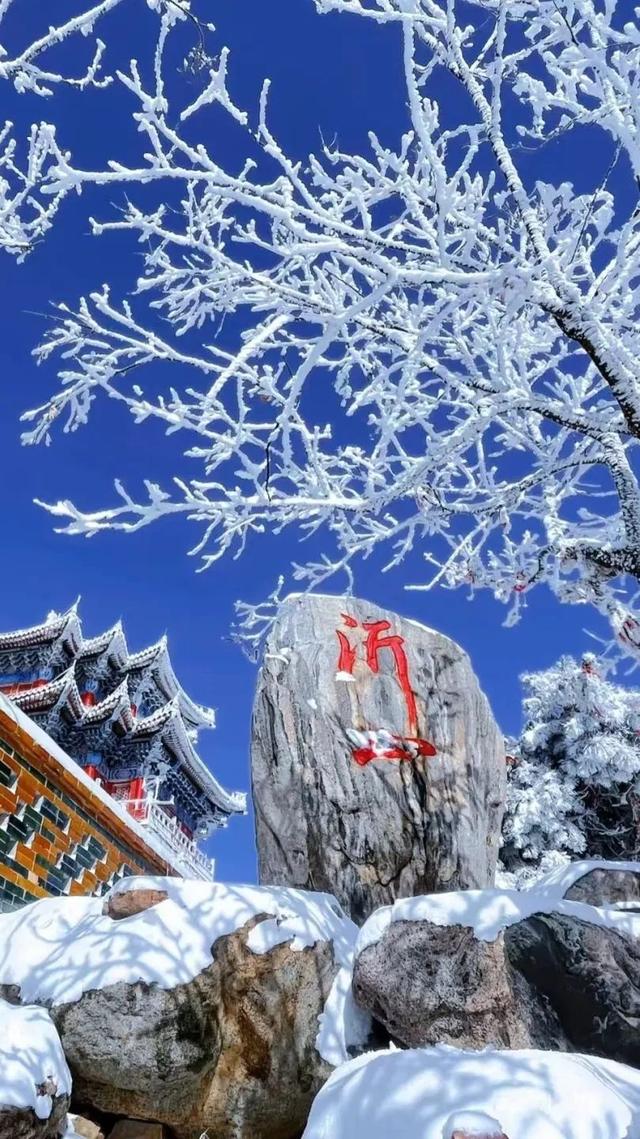 逃离“浪浪山”，解锁沂山新玩法！