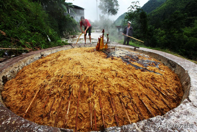 六盘水有一个景区就这样荒废了，坐拥3万亩竹海，堪称避暑胜地
