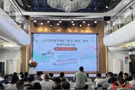 武汉至南京豪华游轮航线开通图片