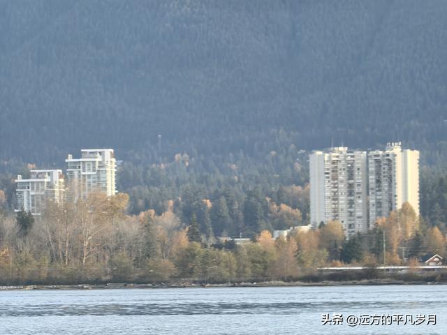 温哥华游记（四）