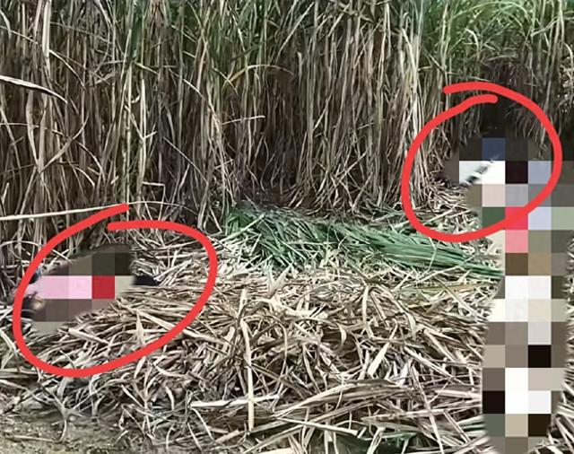 广西杀害2女性李某被抓！潜逃5日被老太在山洞发现，杀人动机曝光