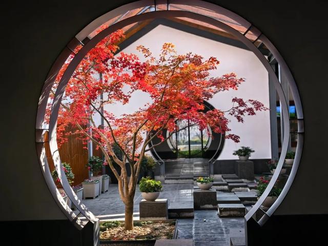 深秋彩叶已上线，打卡超出片