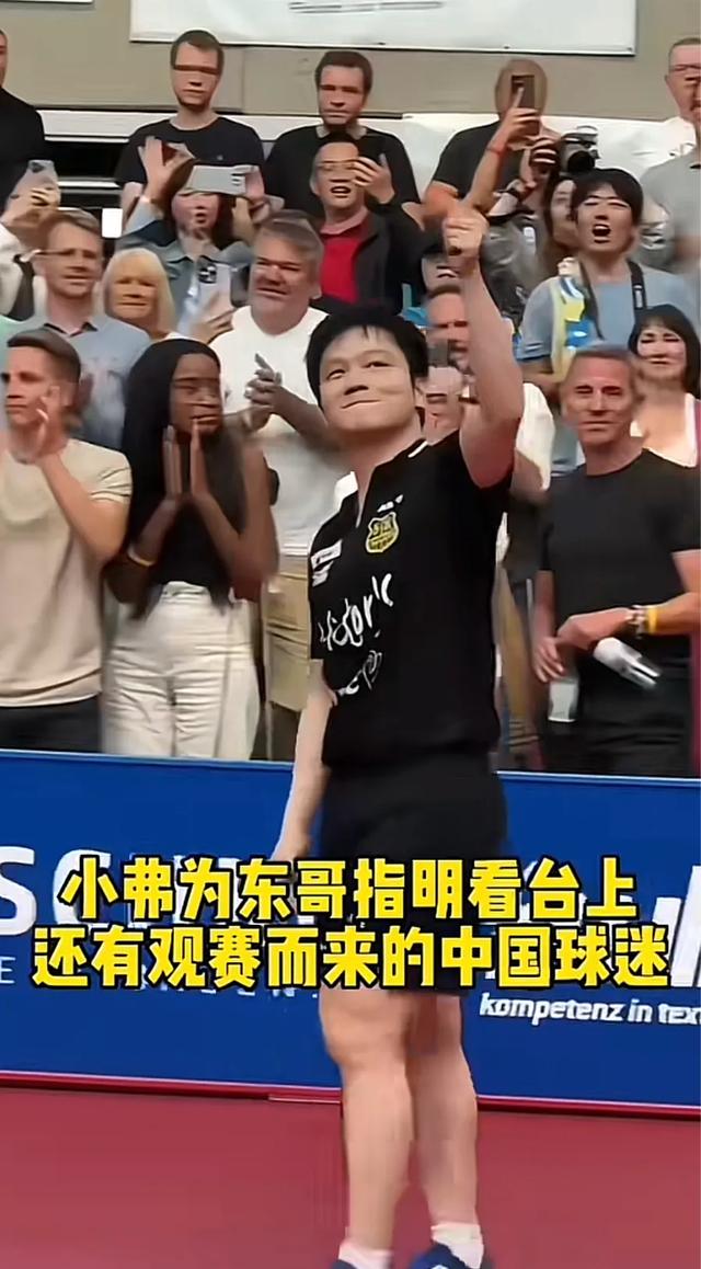 破防！赛后队长弗朗西斯紧抱浑身湿透的樊振东，满是热血与温情