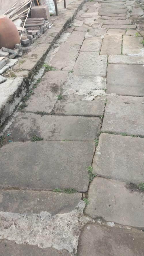 广东没想到，河源也没想到，如今的中国紫金，已成为全国的紫金！