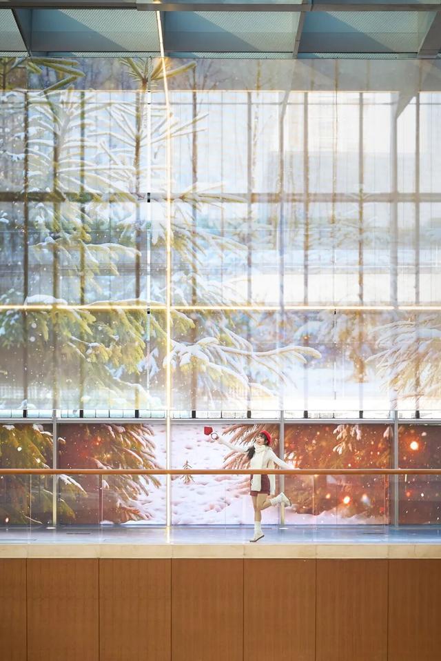 全城寻「人」启事！在市中心奇遇森林，开启一场姜饼人寻踪之旅