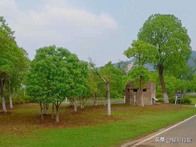 “三点一线”游汤山