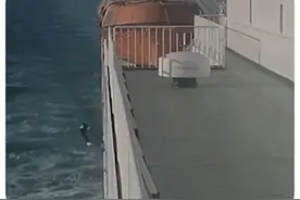 男子为骗千万保金推妻子坠海案详情：有婚外情人，事后曾招嫖图片