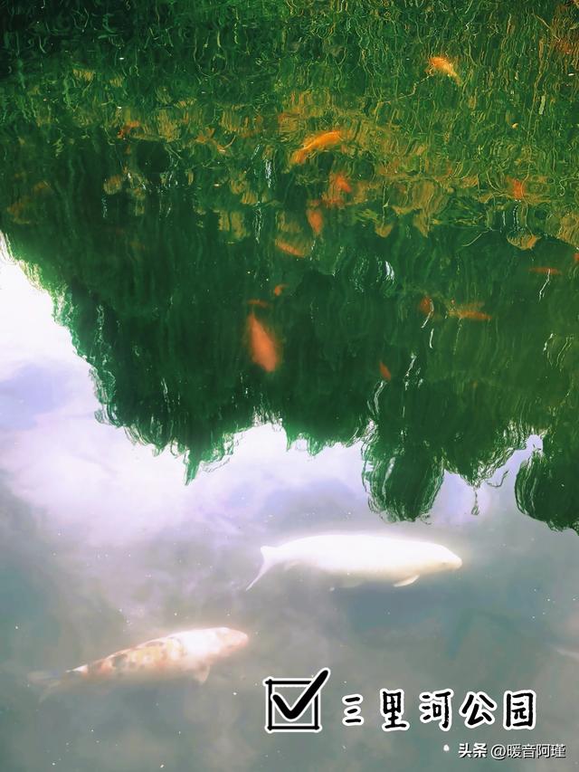 天坛北到草厂，一头钻进北京城的“时光褶皱”里